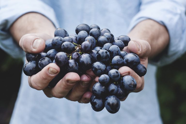 Druiven gezond snoepen boho levenstijl eet verstandig Andra